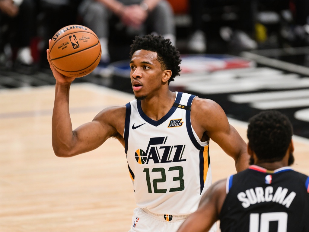 这样的安排 这样的安排